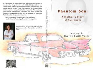 my phantom son book cover